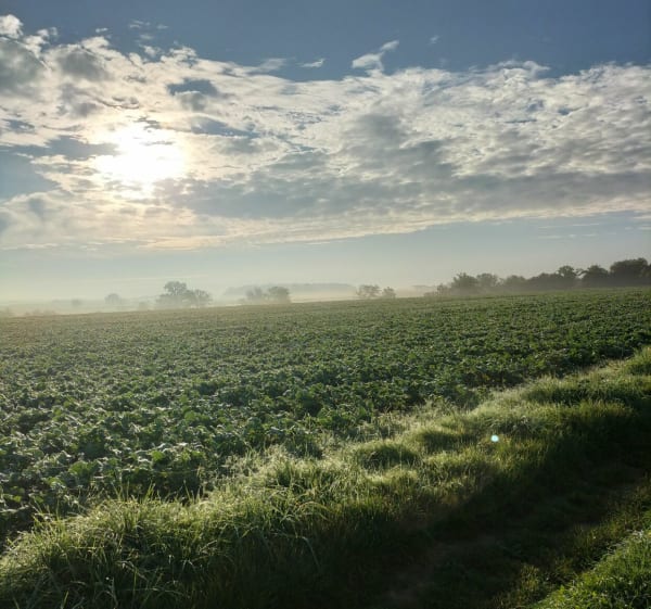 Boucle autour de Torcy-et-Pouligny - Carole - 1