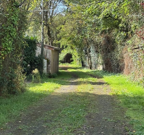 Boucle au cœur de Civrac-de-Blaye - Jessica  - 1