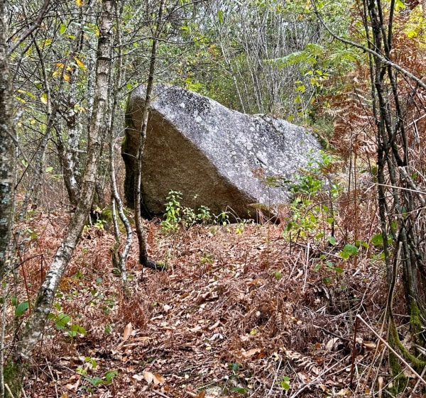 De la font du loup à la Pierre du Roy - Philippe - 1