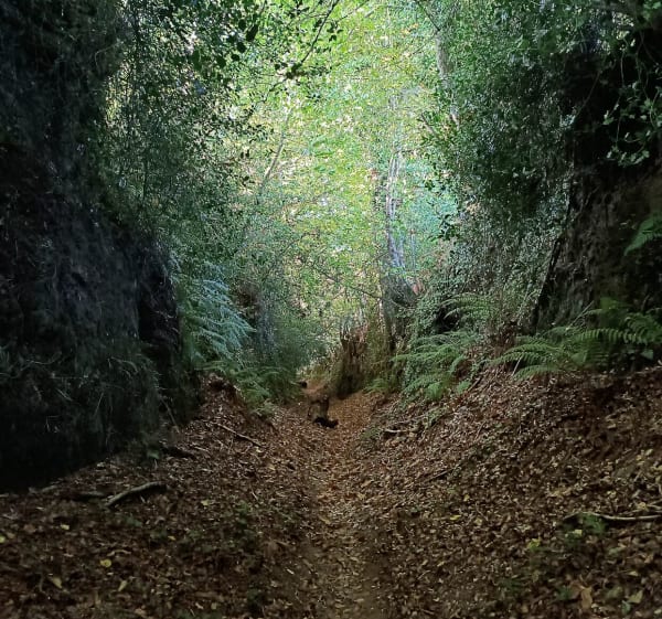 Boucle autours de Rochefort en terre - Céline - 1
