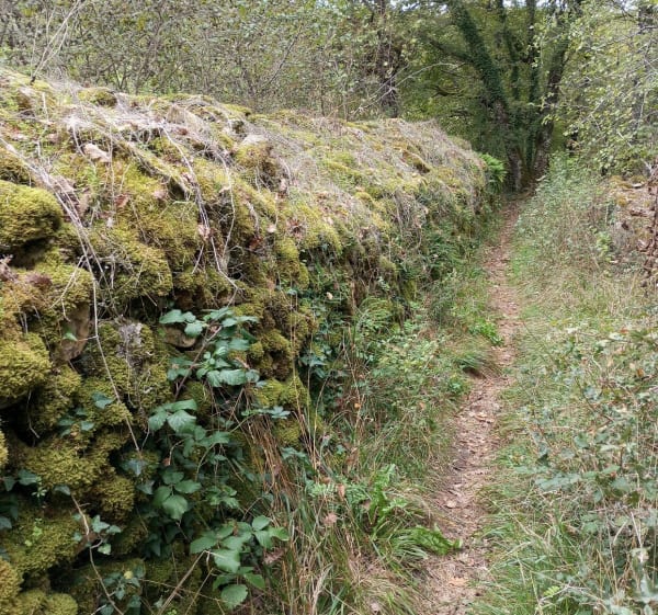 Chemin découverte de Bayac, par Combe Molière - Jacques - 1
