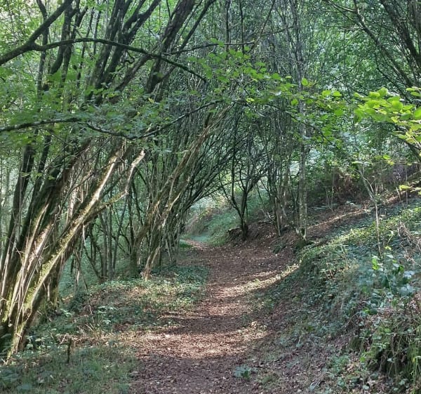 Flânerie dans la Verte Vallée et Callac - Valper - 1