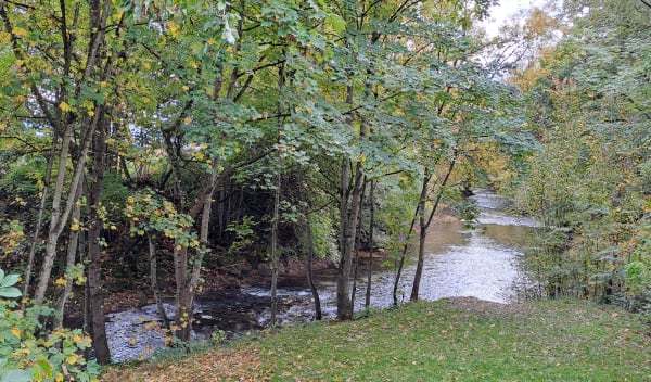 Balade à Arc-sur-Tille et saveurs de la campagne - Helene - 1