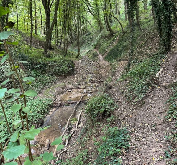 Sentier de Gorneton et les Combes - France - 1