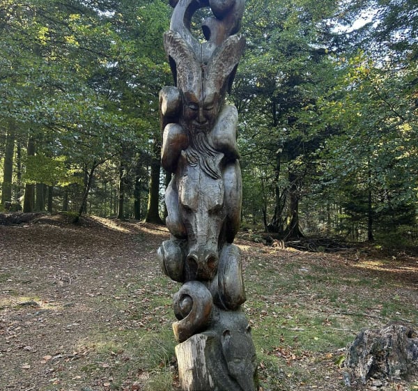 Pierre la Grosle et Forêt de Chabrières - Angélique - 1
