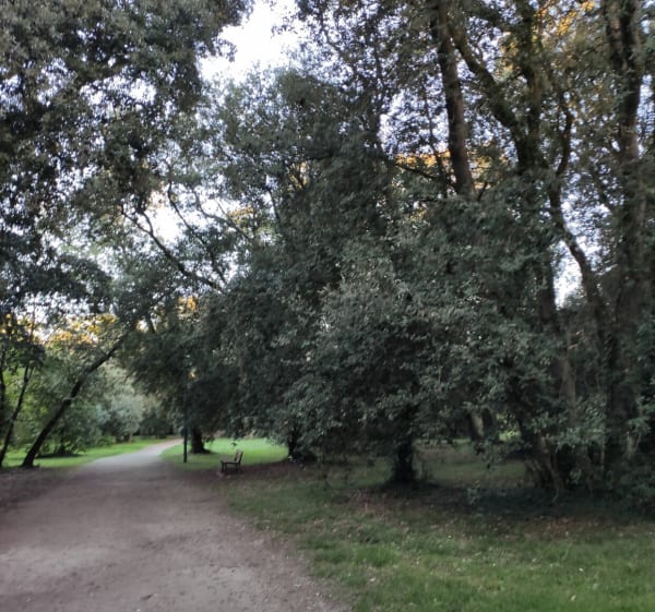 Balade entre bois et plages à Fouras - Véronique - 1