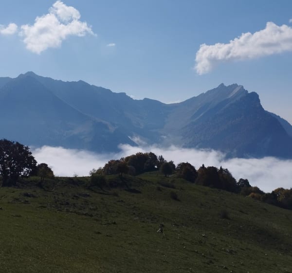 La Croix d'allan, du Coudray, au dessus de Jarsy - CHRISTINE - 1