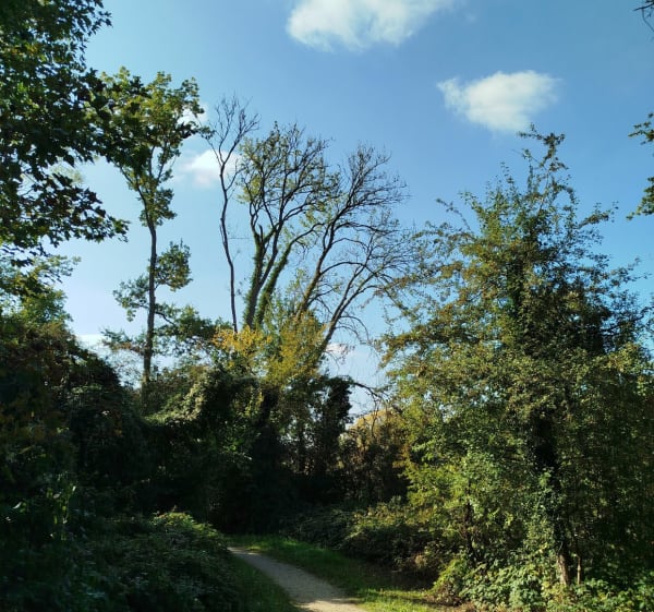 Marche Gouvernes - château de Guermantes - Julien - 1