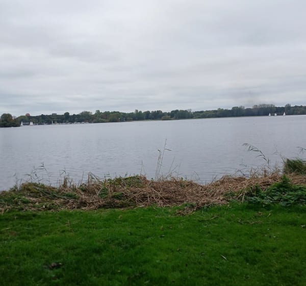 Rondje kralingseplas - Monique - 1