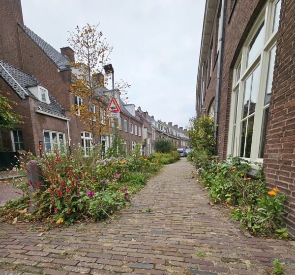 Wageningen - patricia - 1