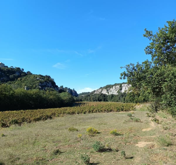 Super balade dans le Gard - delphine - 1