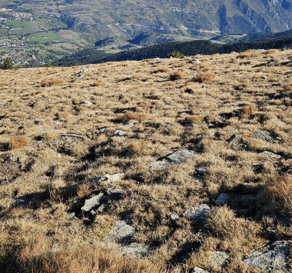 Cambre  d Aze - Severine - 1