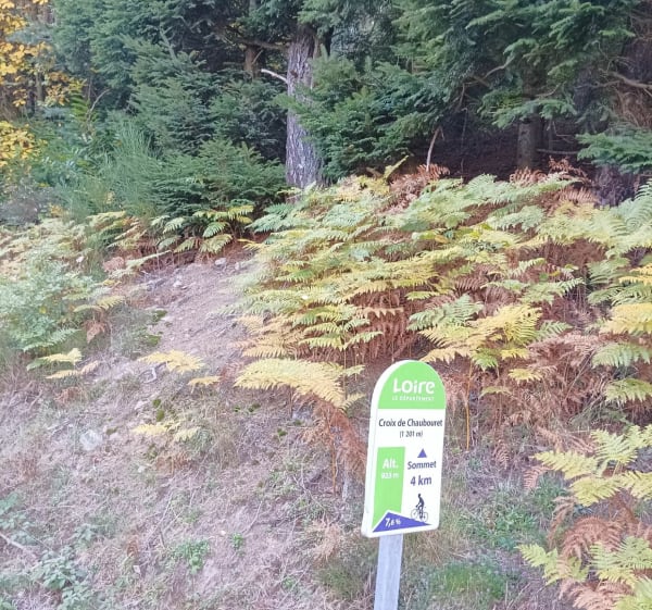 La montée de la Valla en Gier à Saint-Étienne - gisele - 1