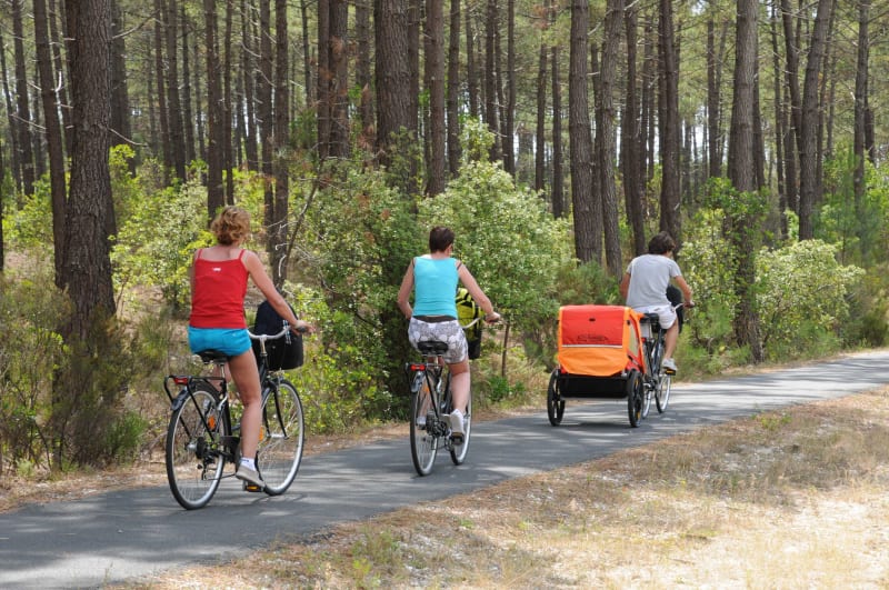 Balizac et belle escapade dans les Landes de Gascogne - Balizac