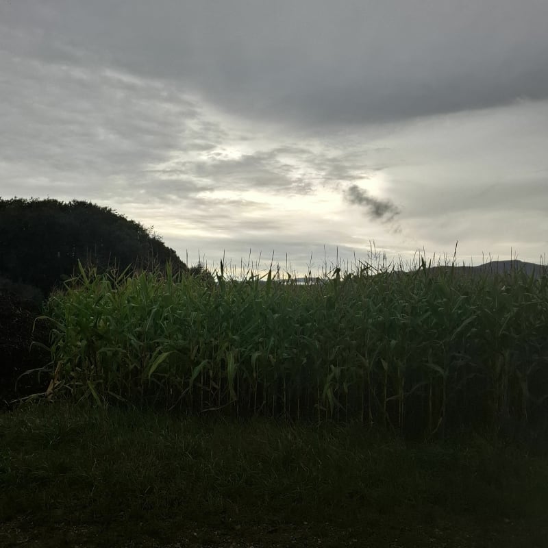 Soppe-le-Haut et la chapelle de Guewenheim - Le Haut-Soultzbach