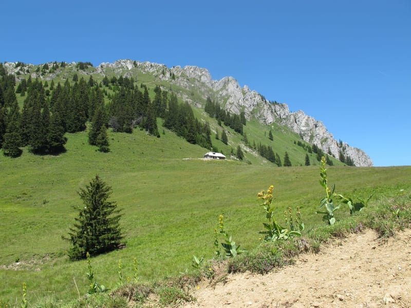 Randonnée au mont Ouzon et panorama magistral sur le Chablais