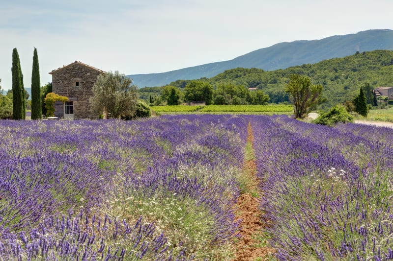 Découverte des couleurs du Luberon