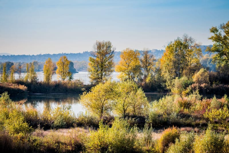 Le grand parc de Miribel Jonage en balade