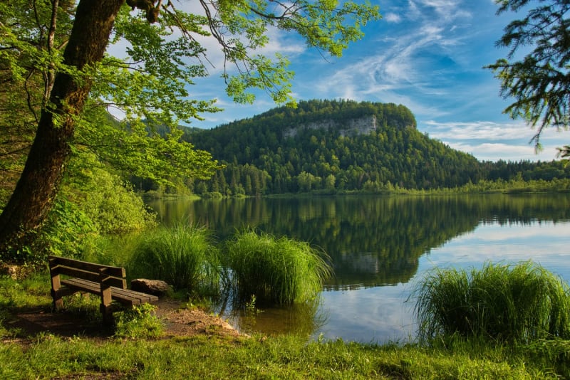 Randonnée lac de Bonlieu : étendue d'eau avec reflet falaise entourée de verdure et d'un banc