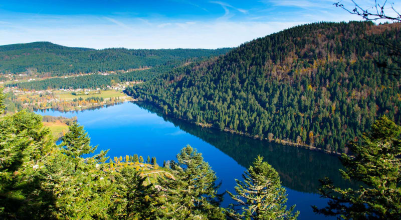 Randonnée lac de Longemer : vue aérienne du lac et monts végétalisés autour