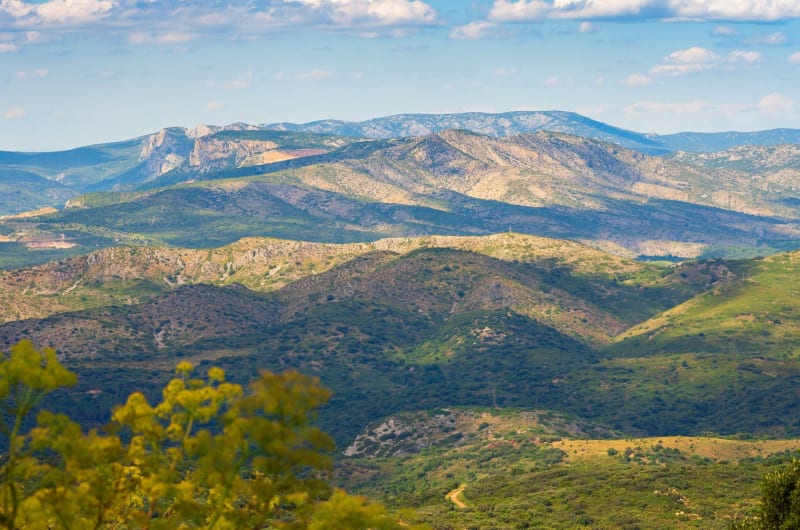 Randonnée massif des Corbières : étendue de sommets verdoyants