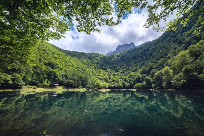 Le lac de Bethmale et le reflet de sa forêt qui l'entoure