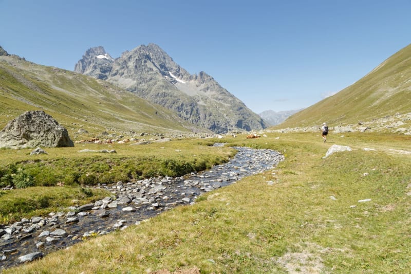 Randonnée lac de la Douche : torrent serpentant dans l'herbe au pied des montagnes