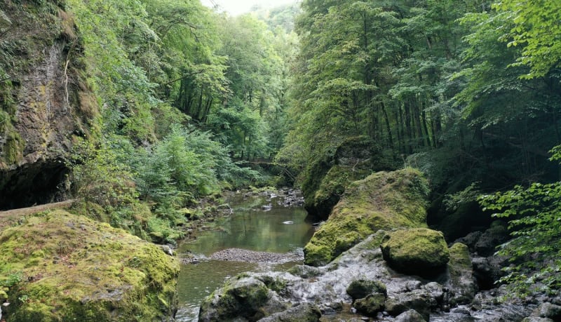 Panorama des gorges du pas de Cère avec vue sur la rivière serpentant entre forêt et blocs rocheux.