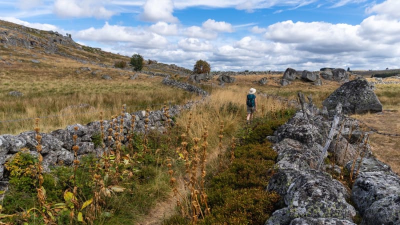 Randonneuse sur un sentier du plateau de l'Aubrac.