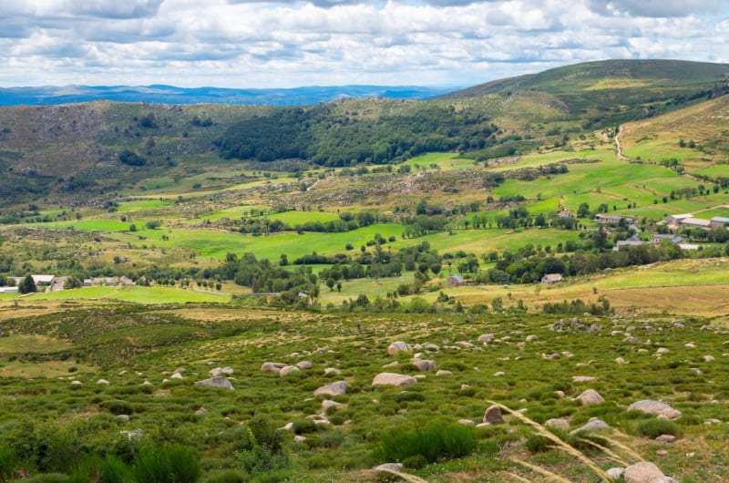 Randonnée mont Lozère : vaste étendue vallonnée verdoyante