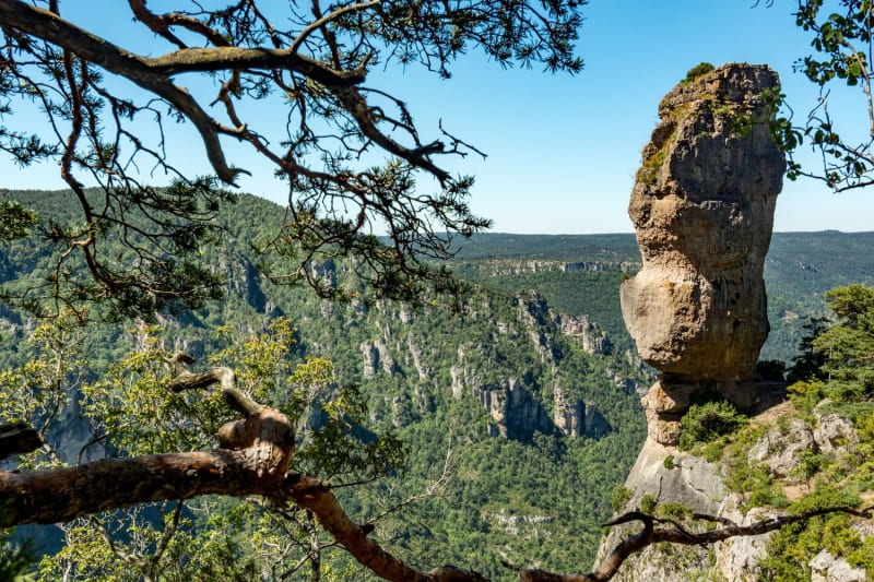 Randonnée causse Méjean : vue sur les gorges du Tarn, avec le vase de Sèvres au premier plan