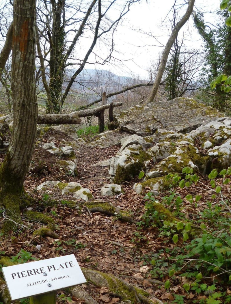 Air pur du Grand Bois et Pierre Plate d'Héricourt - Héricourt