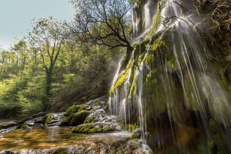 Randonnée cascades Vercors : eau ruisselant sur mousse verte entourée de végétation