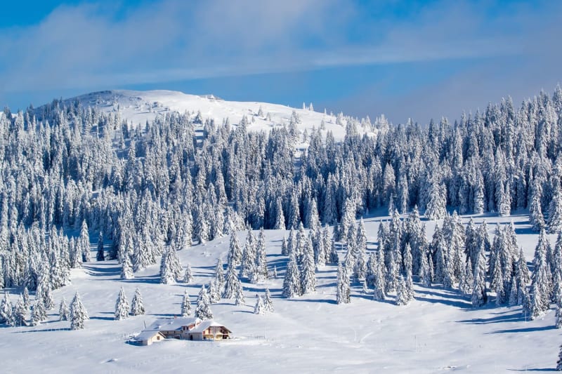 Randonnée raquettes Jura : plateau et montagne enneigés avec sapins et maison