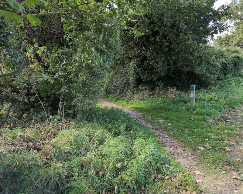 VTT St Renan et Lanrivoiré - Saint-Renan