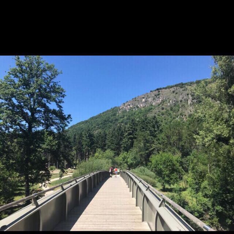 Parc de Bouycheres et balade apaisante en bord d'Ariège - Foix