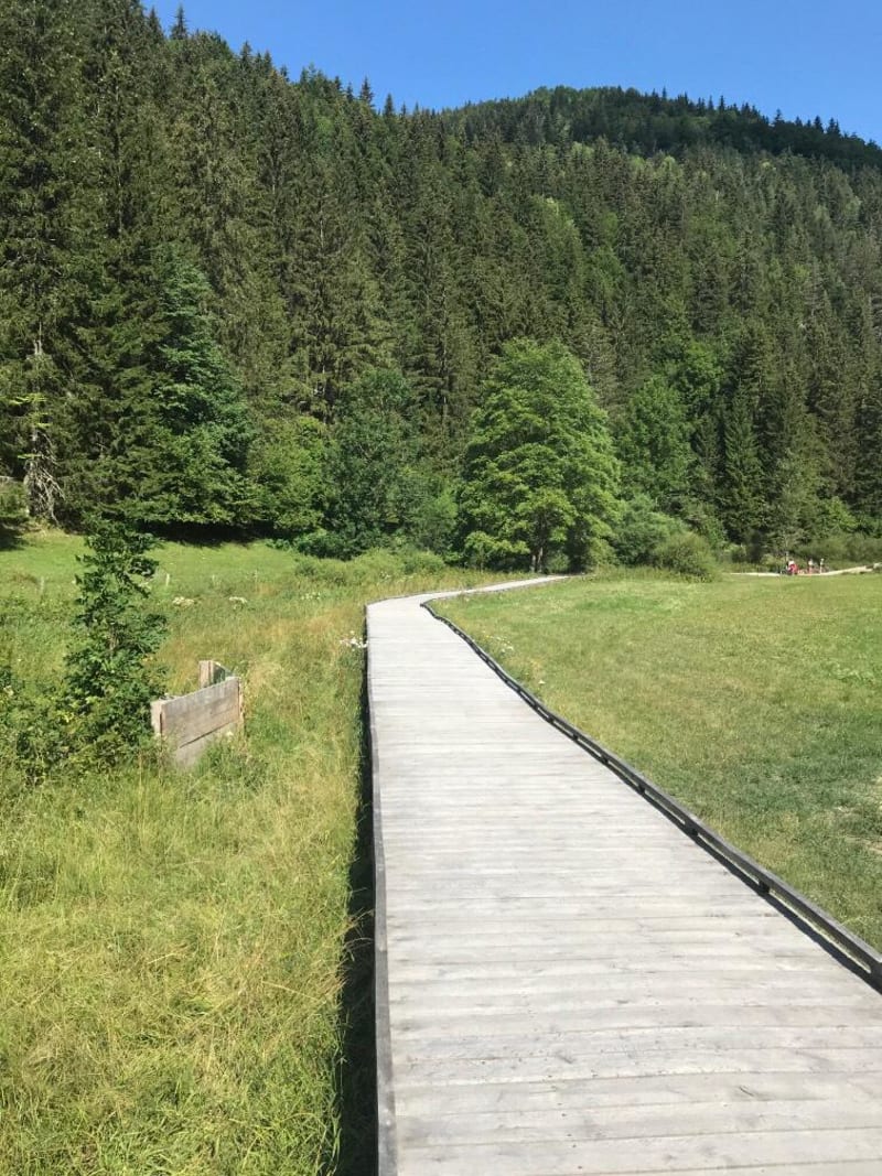 Bain de nature et évasion de Villard-de-Lans à Méaudre - Villard-de-Lans