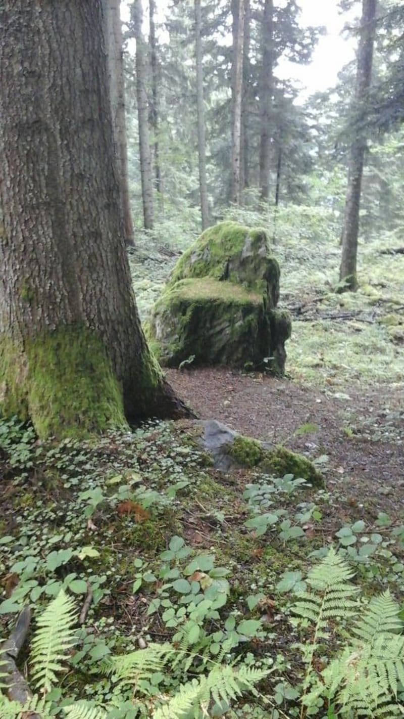 Chaise de la Dama et méditation dans la forêt - Les Séglières