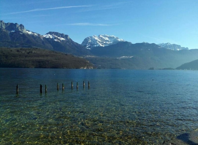 Sentier des Roselières et découverte des joyaux du lac - Saint-Jorioz