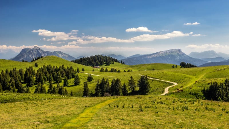Plateau du Semnoz et dégustation de fromages d'alpages - Leschaux