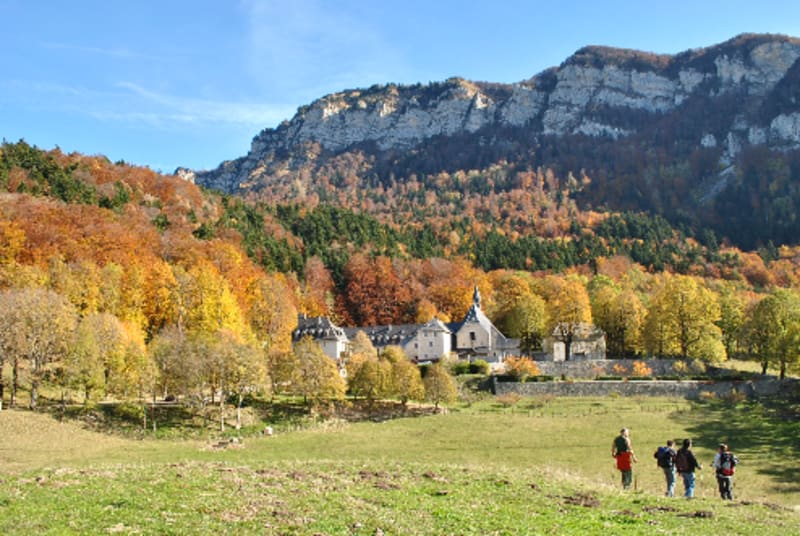Aiguille du Chalais et animaux "planqués" - Chalais