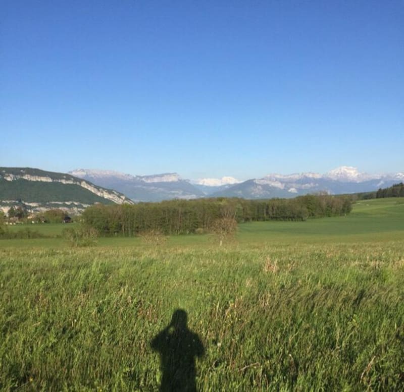 Rando contemplative dans les bois d'Angely et vue Mont-Blanc - Vaulx