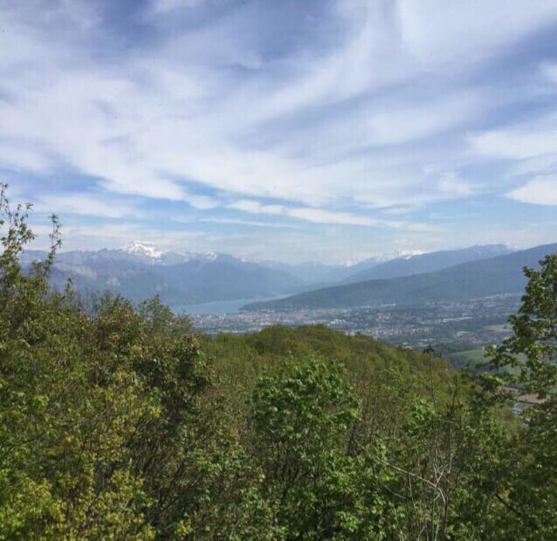 Expérience bucolique dans les bois de la Mandallaz et panorama sur le lac d'Annecy - Epagny