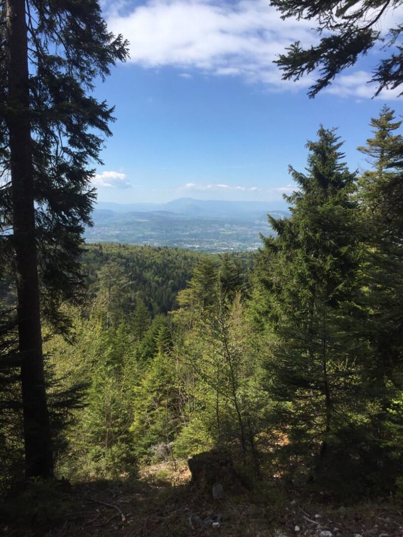 Forêt du Semnoz et grands câlins aux arbres - Sévrier