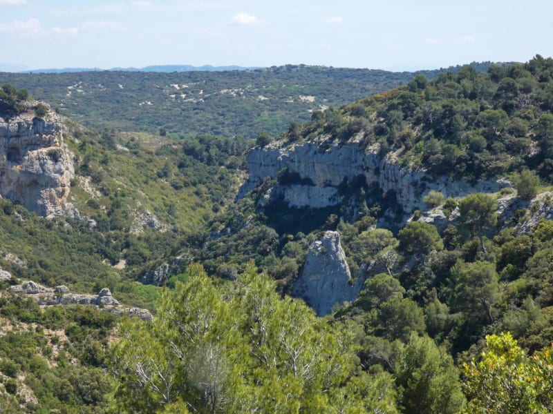 Longer les gorges d'Oppedette - Oppedette