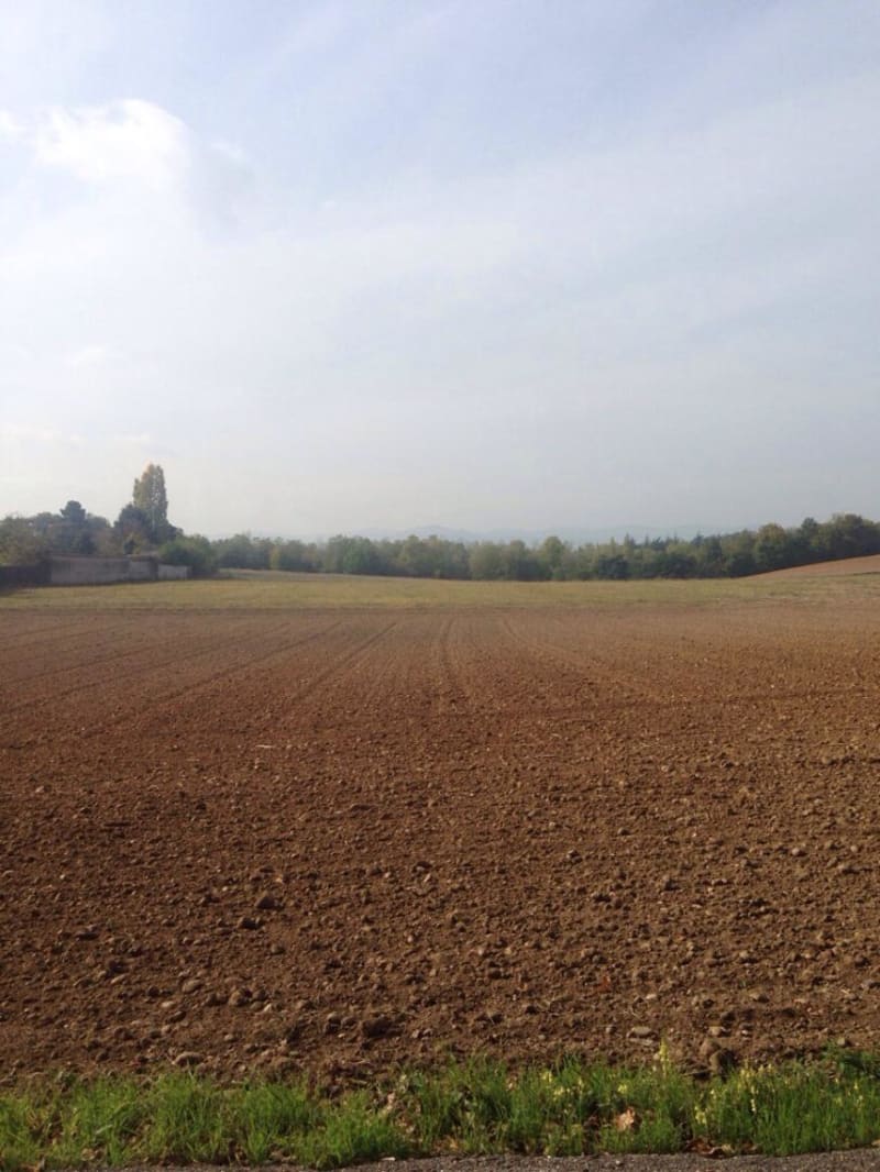 Sentier de Sacuny et 1001 espèces animales - Saint-Genis-Laval