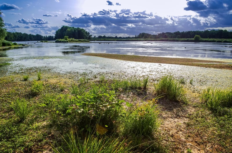 Balade à Bou, entre Loire et champs par le GR® 3 - Bou