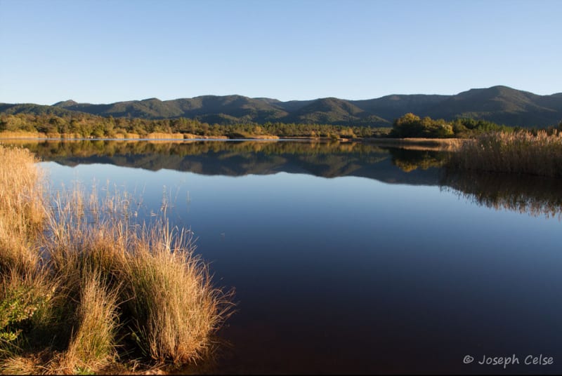 Lac des Escarcets et safari étonnant dans la savane provençale - Le Cannet-des-Maures