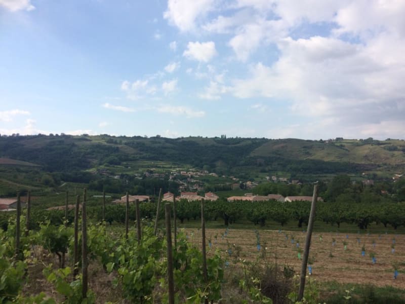 Escapade dans les vallons ardéchois et près du Rhône - Saint-Etienne-de-Valoux