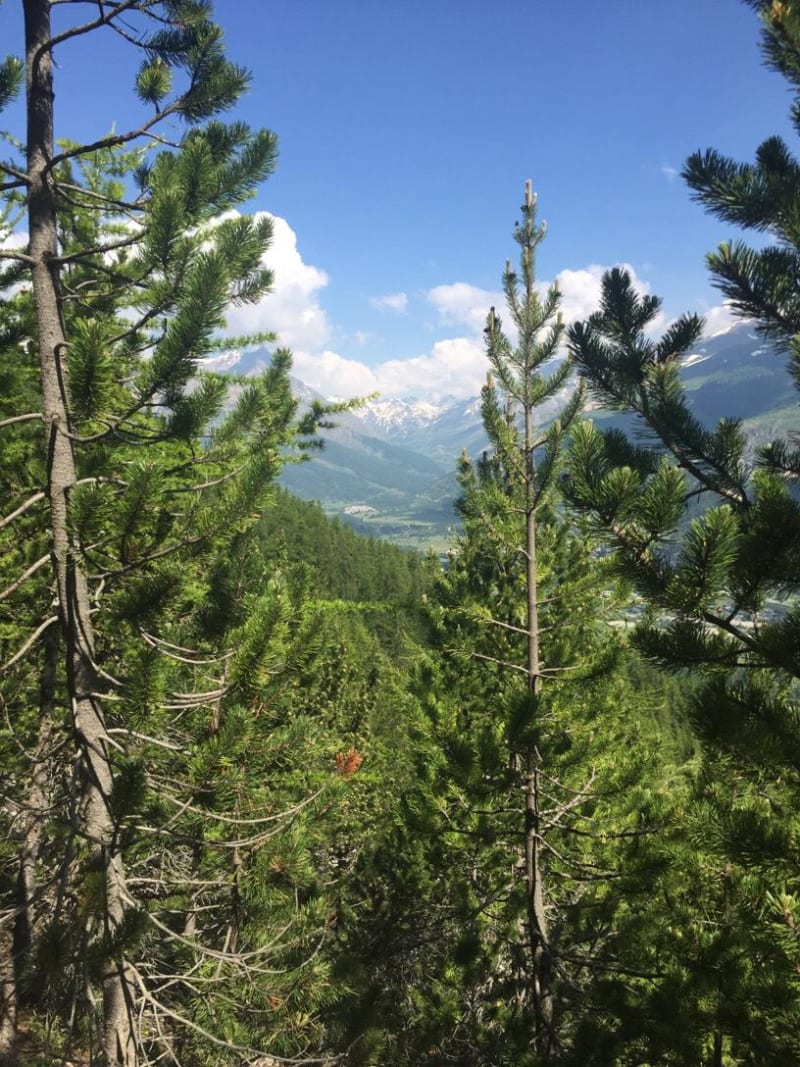 S'évader à Serre-Chevalier et profiter à fond du paysage - Serre-Chevalier - Le Bez